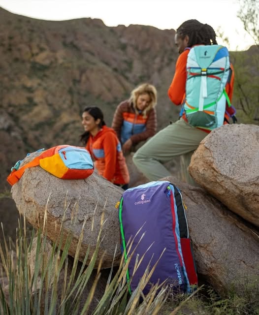 499408157 1247647087361441 389781360279735990 n